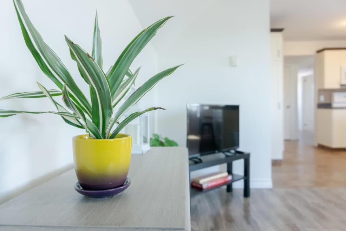 Amazing Location In Saint John 2 Bedroom Modern Parking New מראה חיצוני תמונה