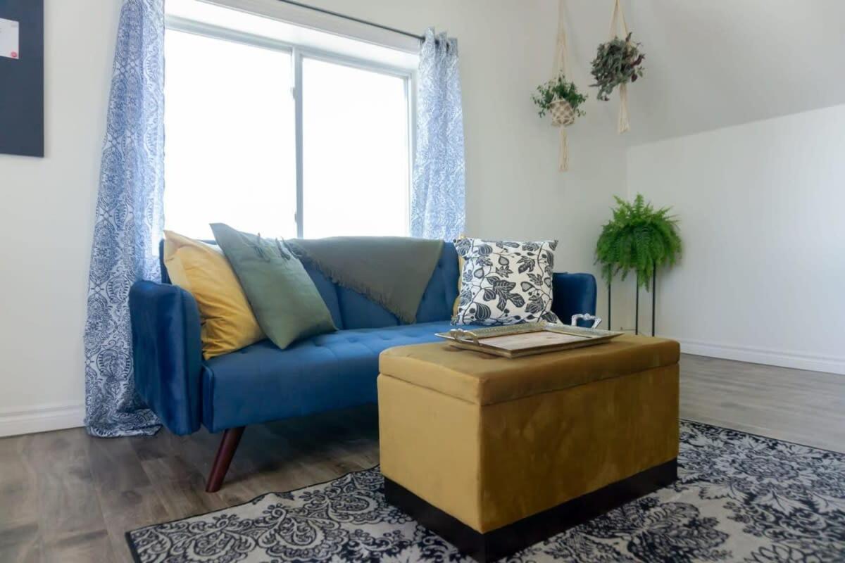Amazing Location In Saint John 2 Bedroom Modern Parking New מראה חיצוני תמונה