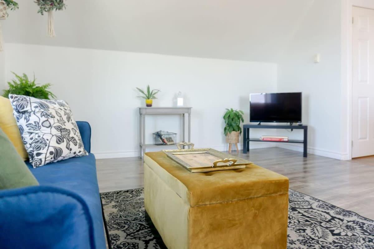 Amazing Location In Saint John 2 Bedroom Modern Parking New מראה חיצוני תמונה